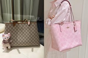 elegant tote bag neutral colors