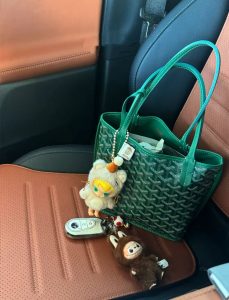 mini tote bag alternative to crossbody bags