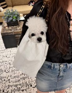 designer handbag decision lifestyle choice